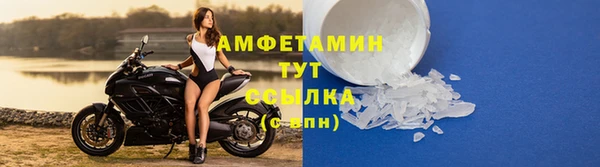 мяу мяу мука Михайловск