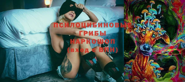 мяу мяу мука Михайловск