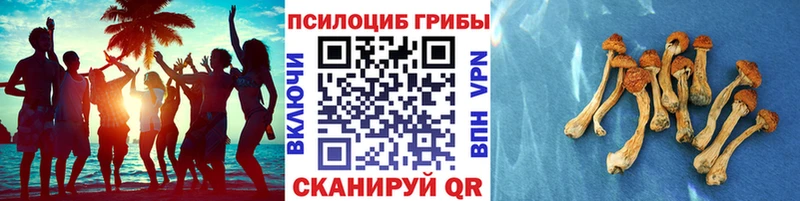 Галлюциногенные грибы мицелий  Таштагол 